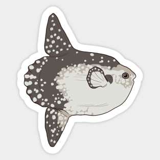 Ocean Sunfish (Mola Mola) Sticker